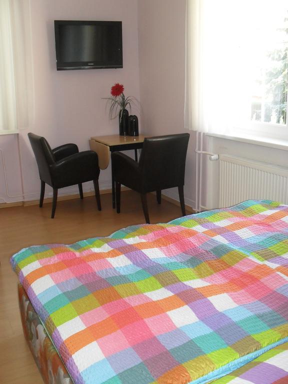 Pension Rak Karlovy Vary Exterior photo